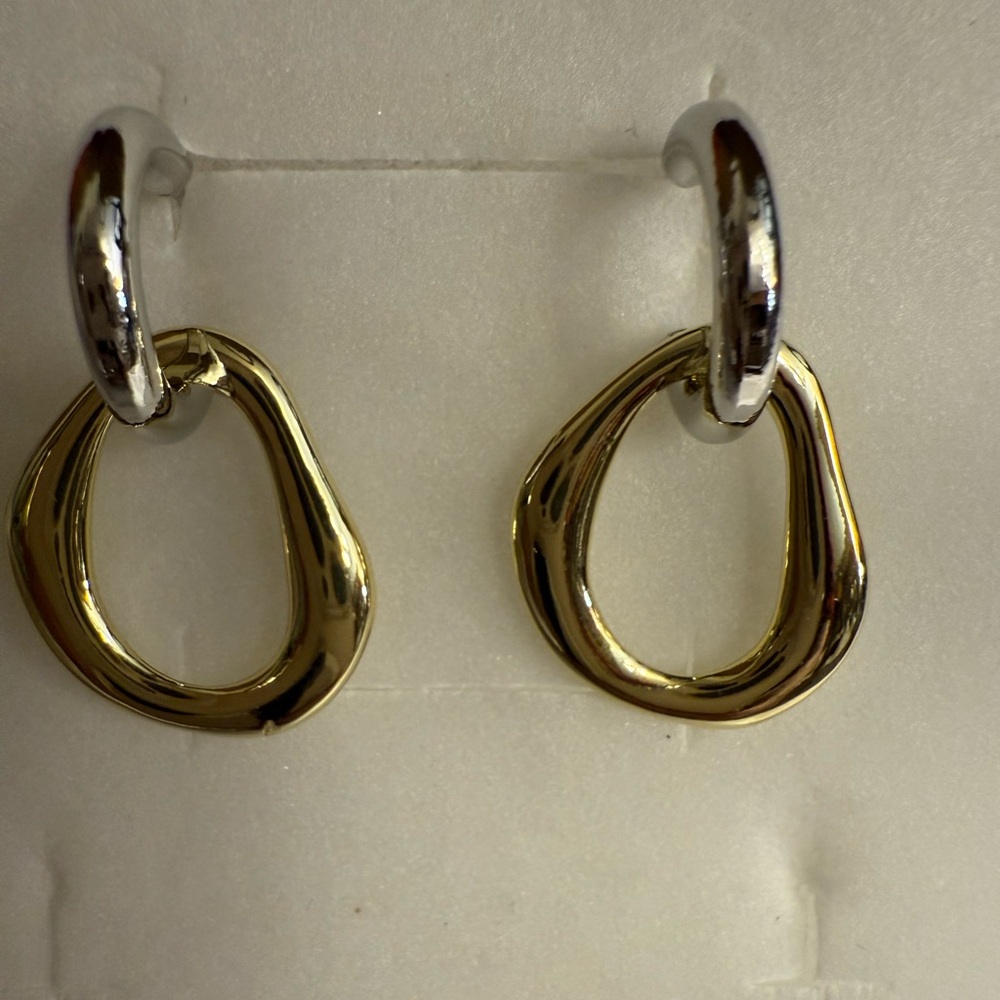Two tone fashion Earrings